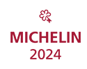 Michellin Logo
